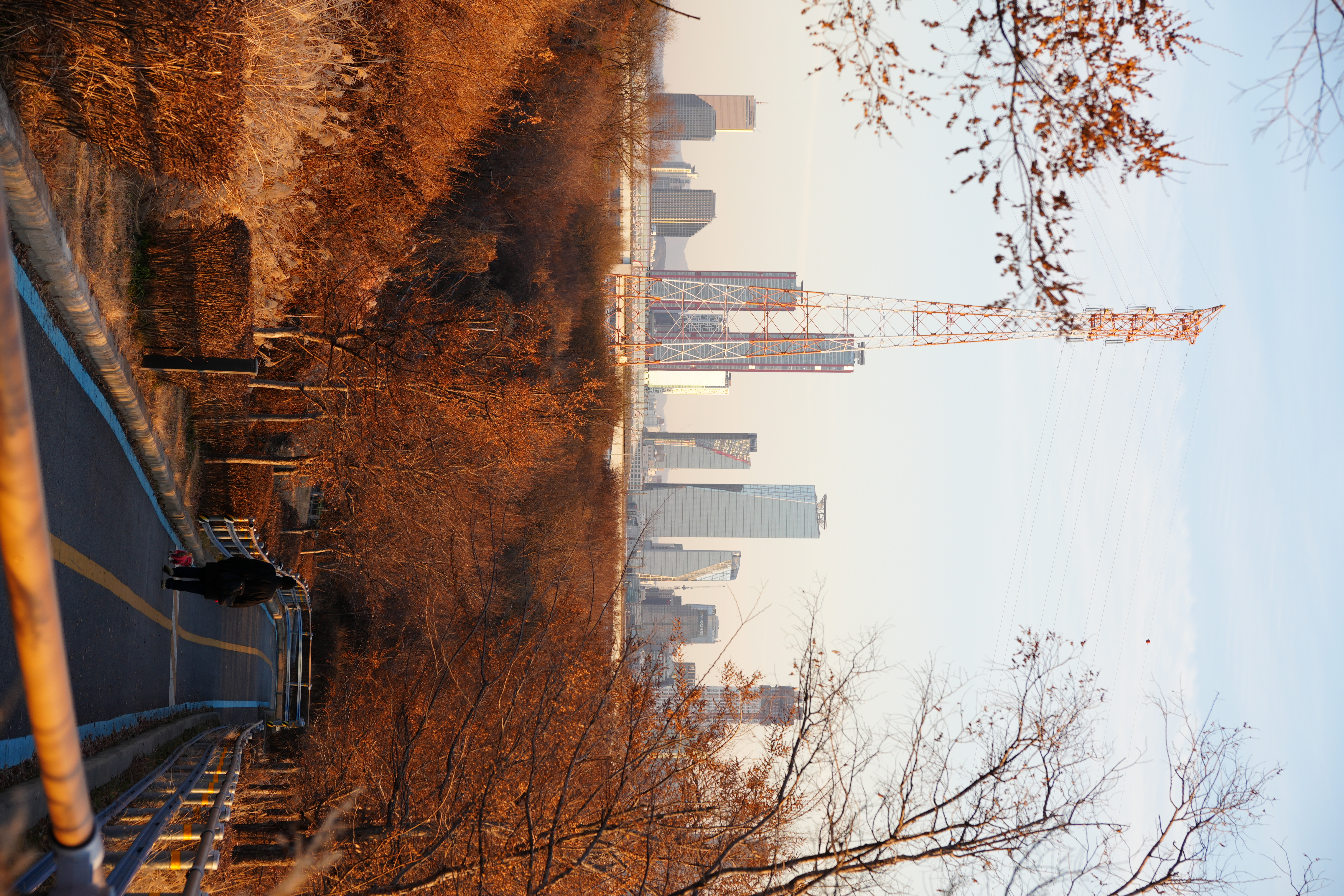 Seoul skyline behind autumn tree path