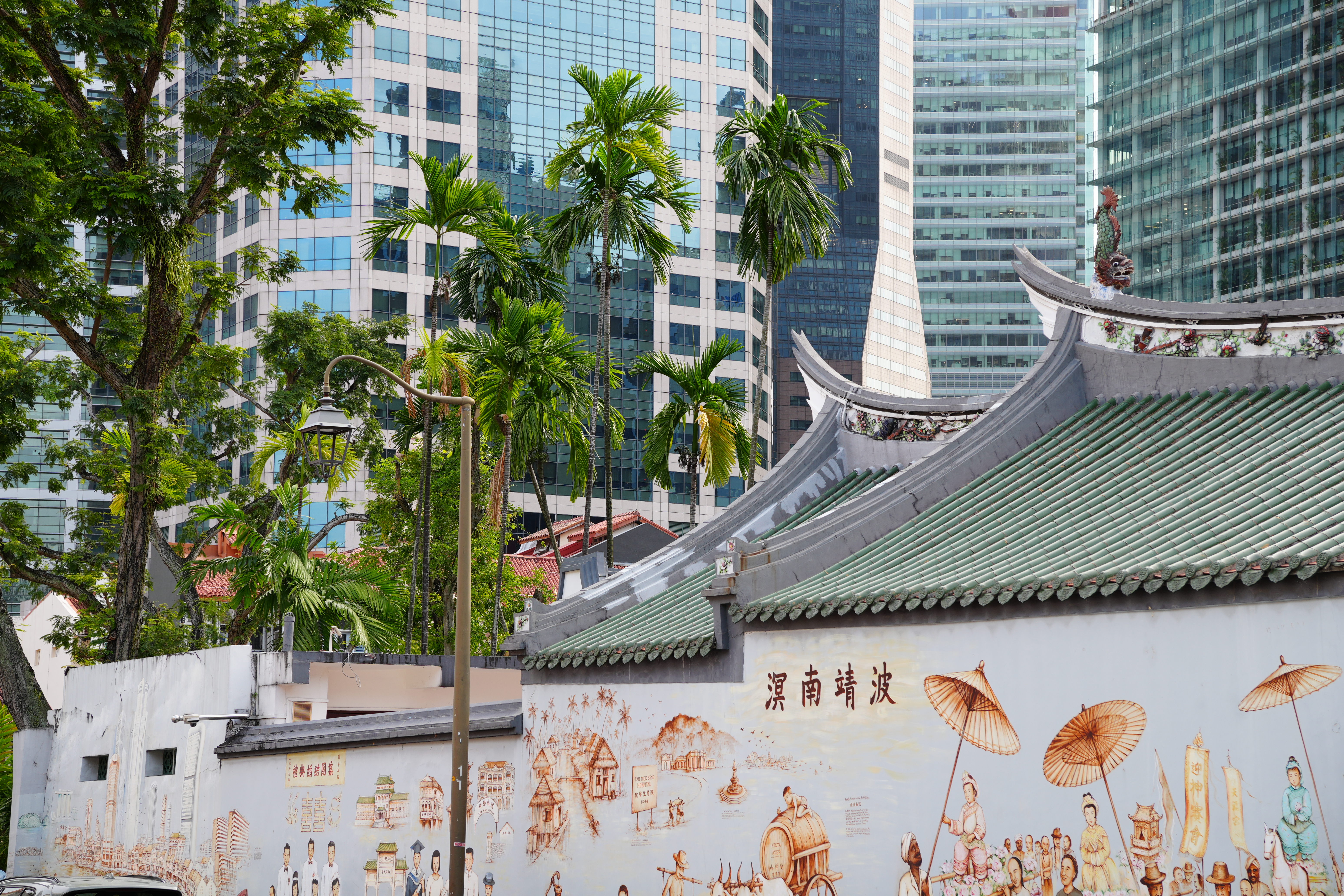 Mural on urban wall with palm trees in the background